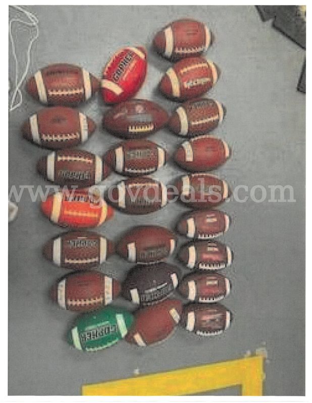 Bulk Footballs – Wilson, Gopher, + Mesh Bag