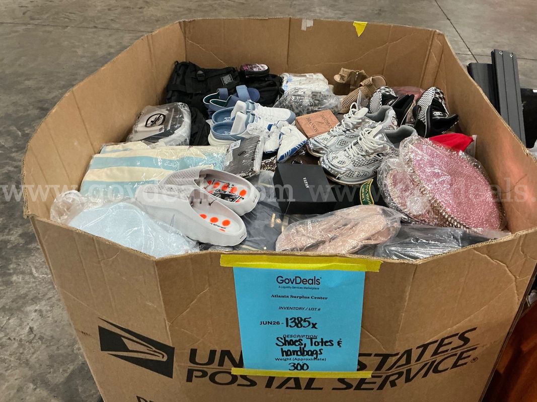 Apparel: Manually Sorted "Shoes, Handbags and Totes" (JUN26-1385X)