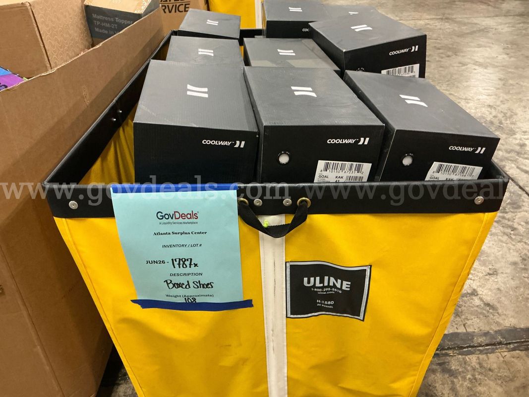 Apparel: "Boxed Shoes" (Hamper) (JUN26-1787X)
