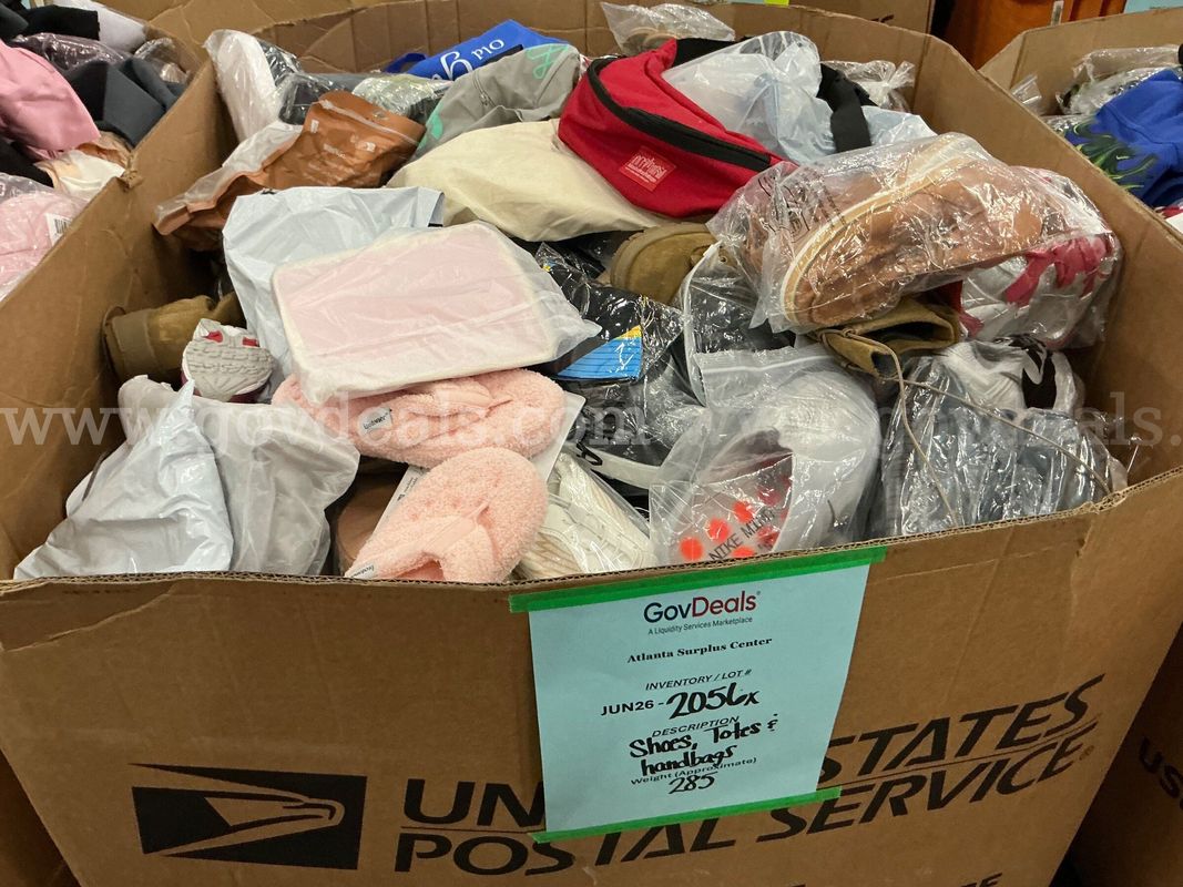 Apparel: Manually Sorted "Shoes, Handbags and Totes" (JUN26-2056X)