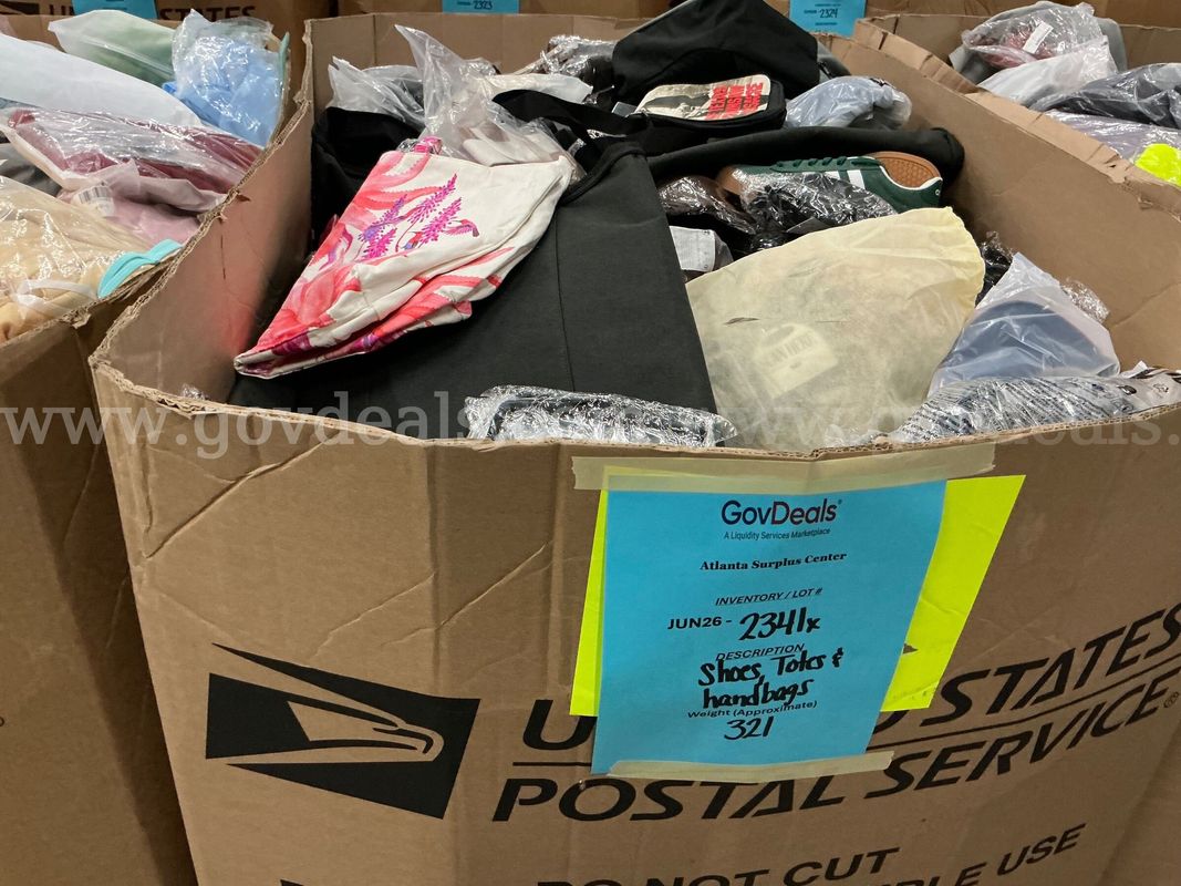 Apparel: Manually Sorted "Shoes, Handbags and Totes" (JUN26-2341X)