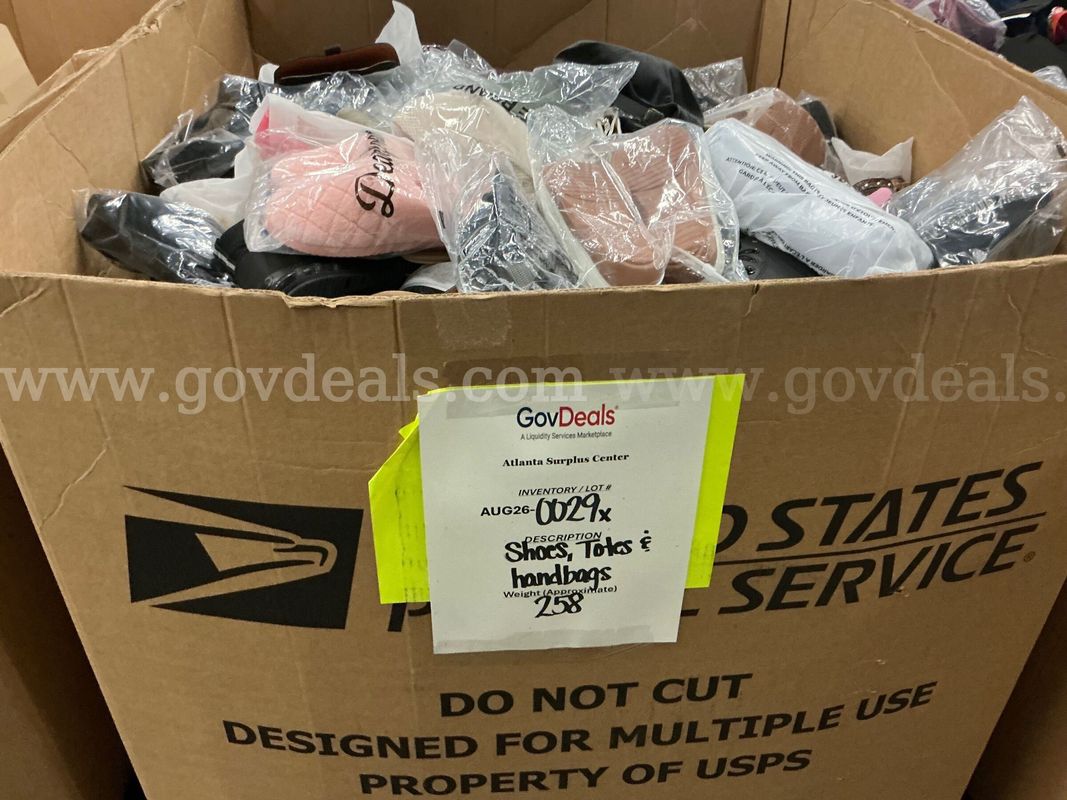Apparel: Manually Sorted "Shoes, Handbags and Totes" (AUG26-0029X)