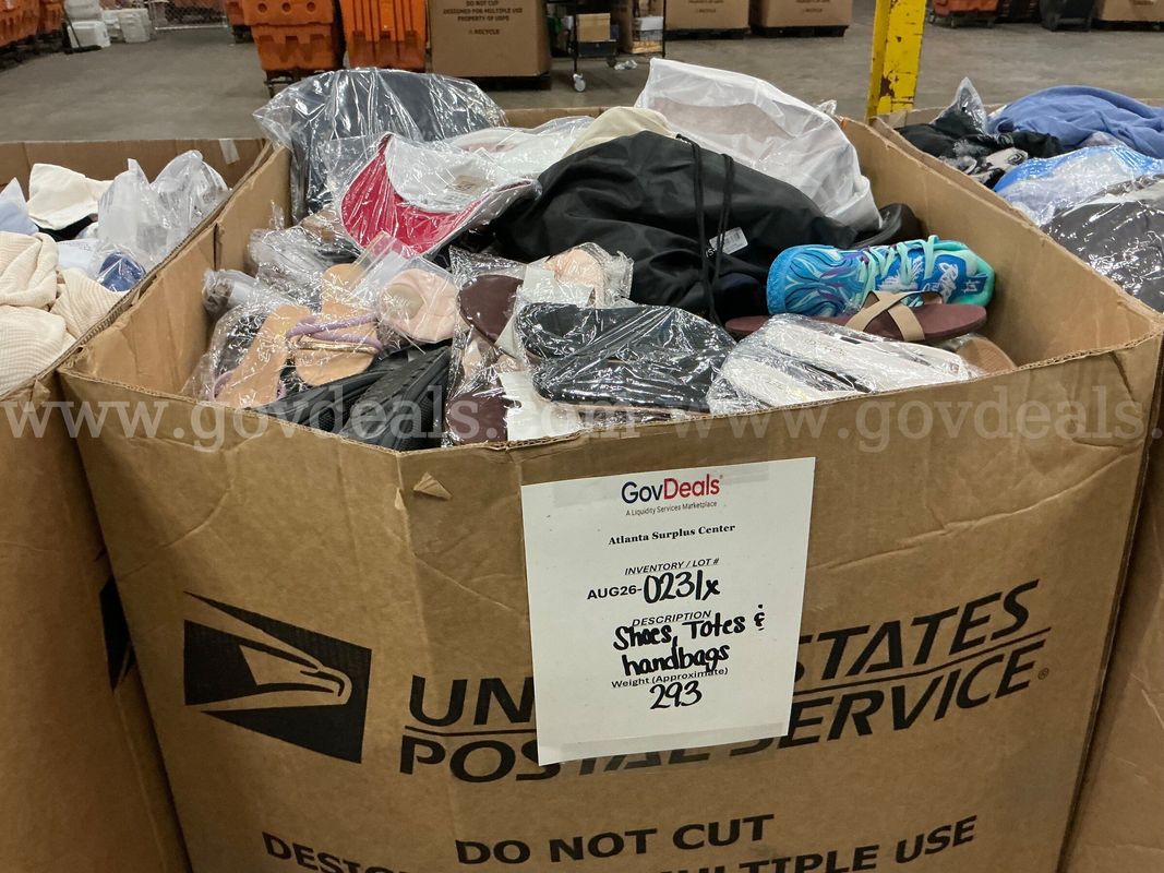 Apparel: Manually Sorted "Shoes, Handbags and Totes" (AUG26-0231X)