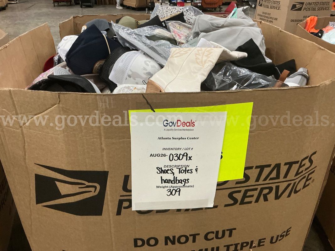 Apparel: Manually Sorted "Shoes, Handbags and Totes" (AUG26-0309X)
