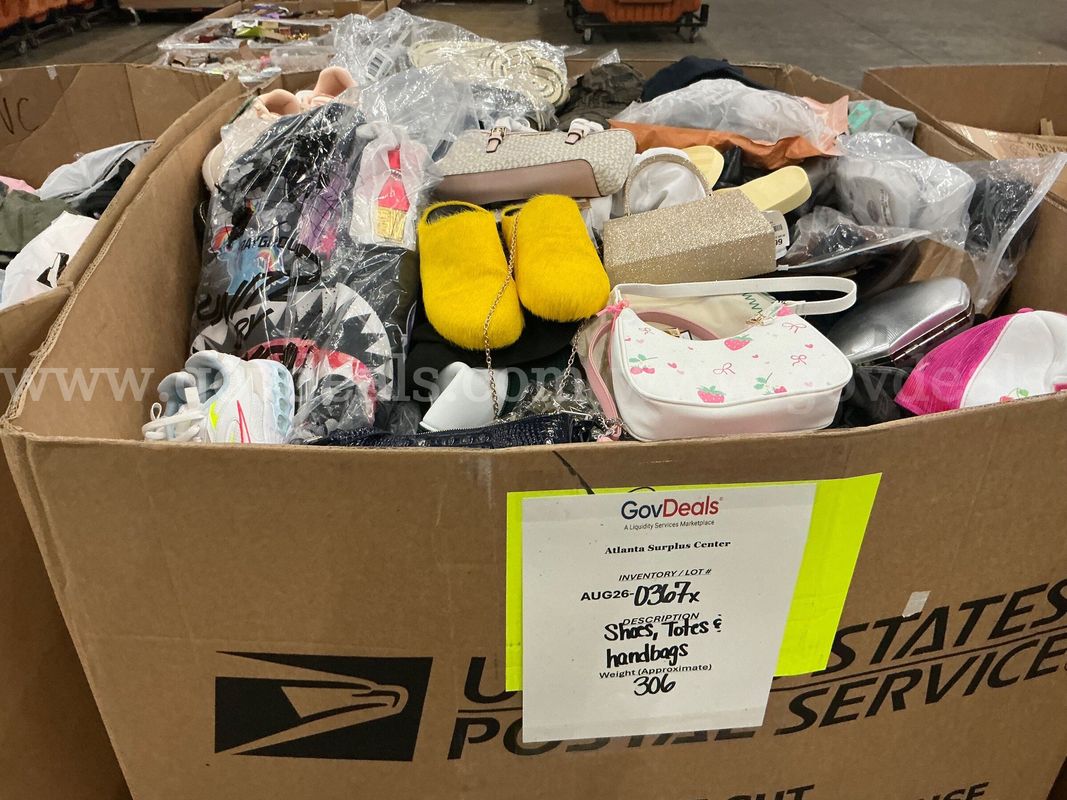 Apparel: Manually Sorted "Shoes, Handbags and Totes" (AUG26-0367X)