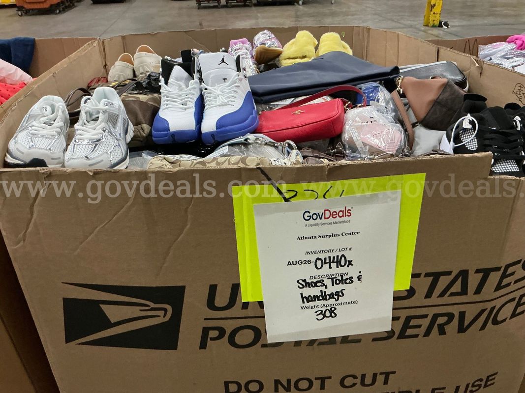 Apparel: Manually Sorted "Shoes, Handbags and Totes" (AUG26-0440X)