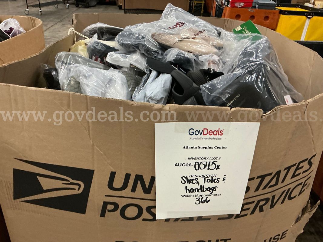 Apparel: Manually Sorted "Shoes, Handbags and Totes" (AUG26-0545X)