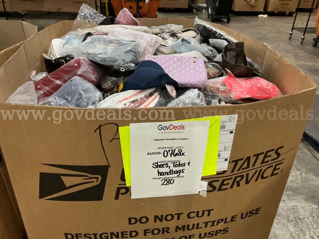 Apparel: Manually Sorted "Shoes, Handbags and Totes" (AUG26-0768X)
