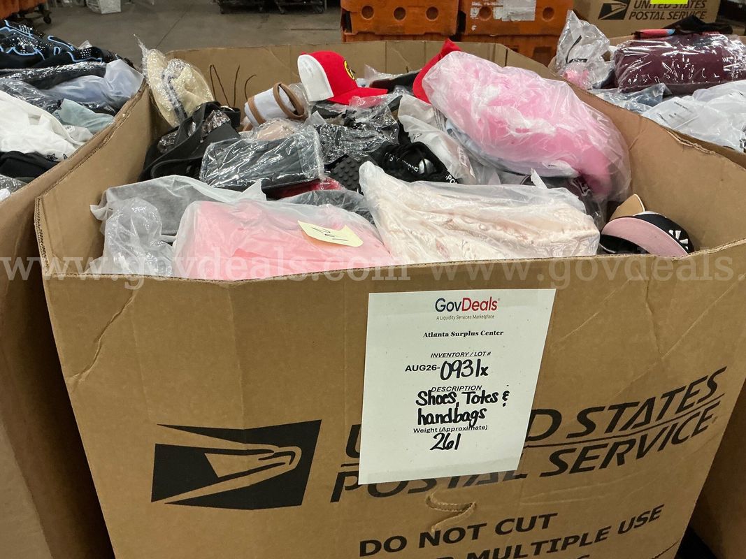 Apparel: Manually Sorted "Shoes, Handbags and Totes" (AUG26-0931X)