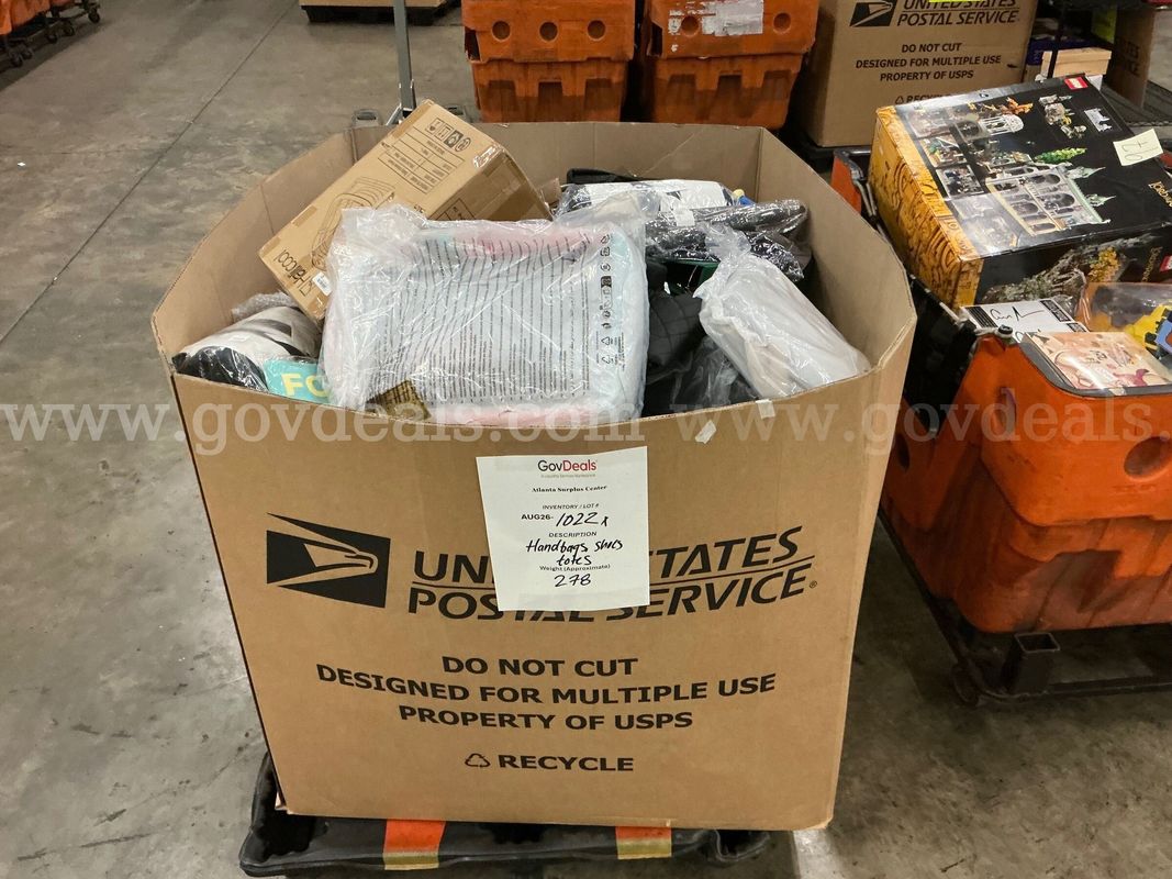 Apparel: Manually Sorted "Shoes, Handbags and Totes" (AUG26-1022X)