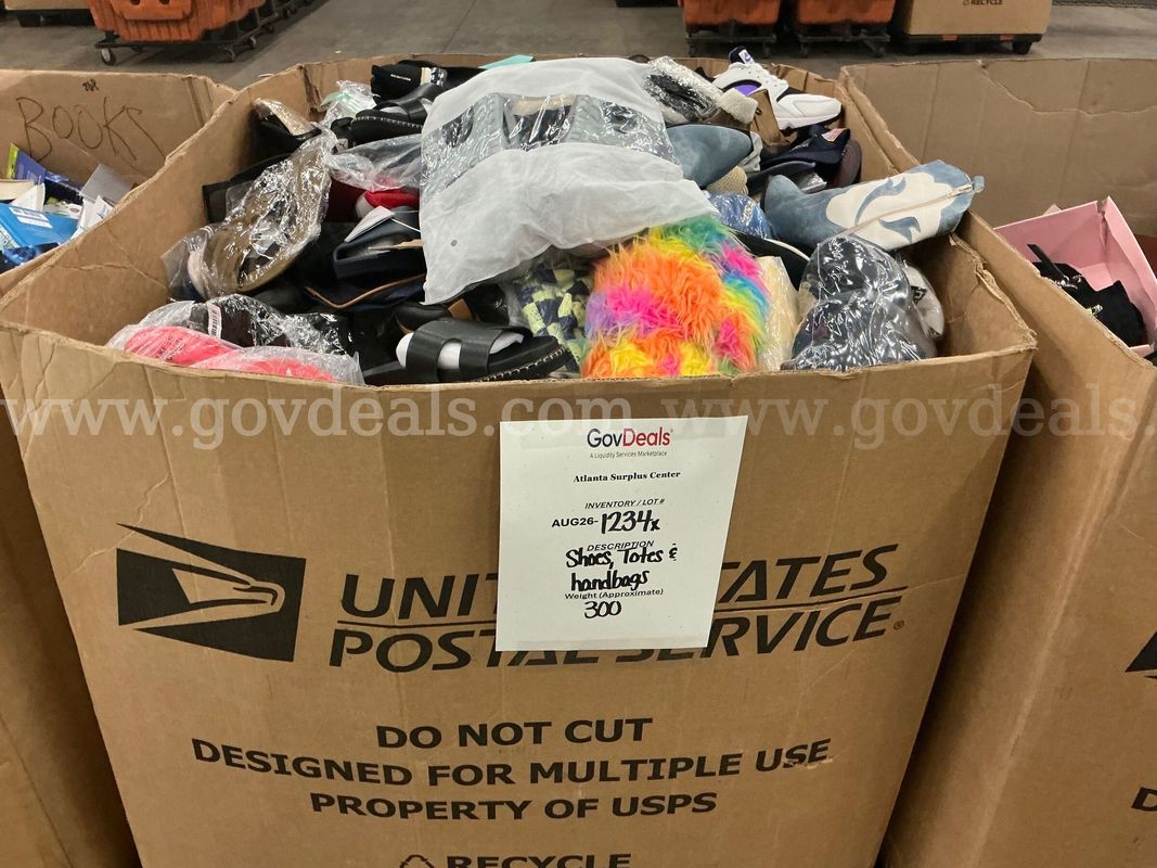 Apparel: Manually Sorted "Shoes, Handbags and Totes" (AUG26-1234X)