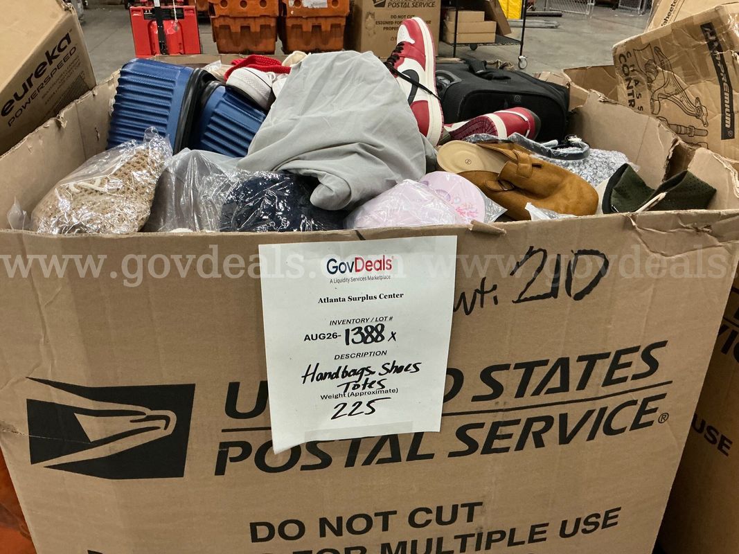 Apparel: Manually Sorted "Shoes, Handbags and Totes" (AUG26-1388X)