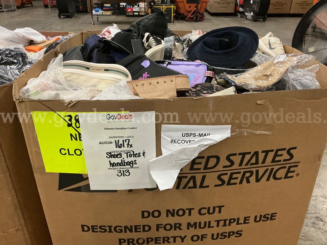 Apparel: Manually Sorted "Shoes, Handbags and Totes" (AUG26-1617X)