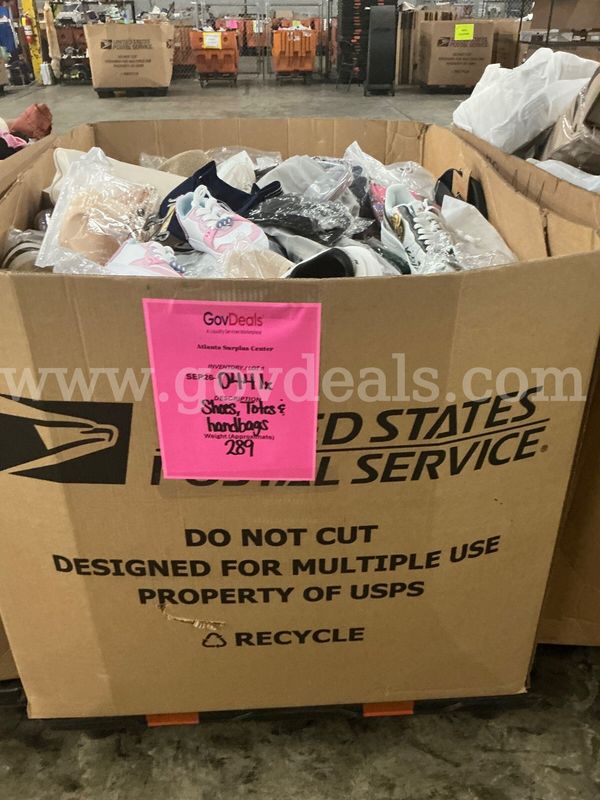 Apparel: Manually Sorted "Shoes, Handbags and Totes" (SEP26-0441X)