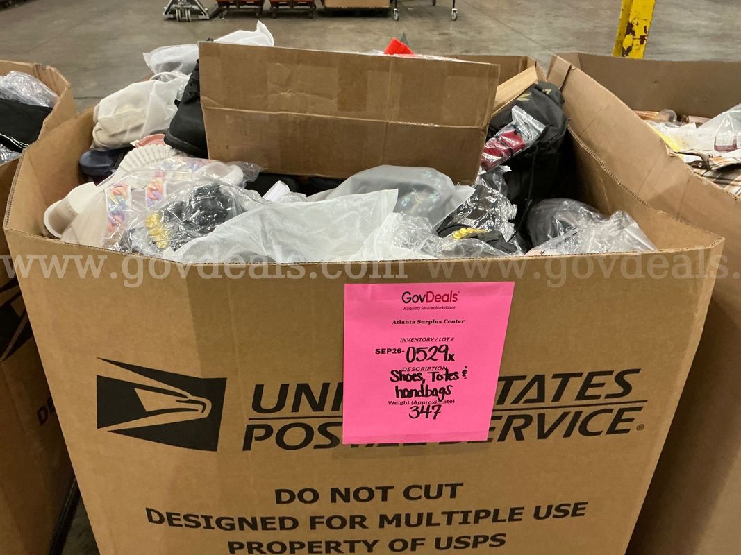 Apparel: Manually Sorted "Shoes, Handbags and Totes" (SEP26-0529X)