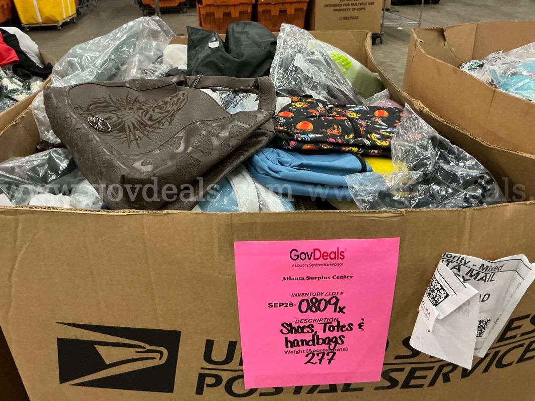 Apparel: Manually Sorted "Shoes, Handbags and Totes" (SEP26-0809X)