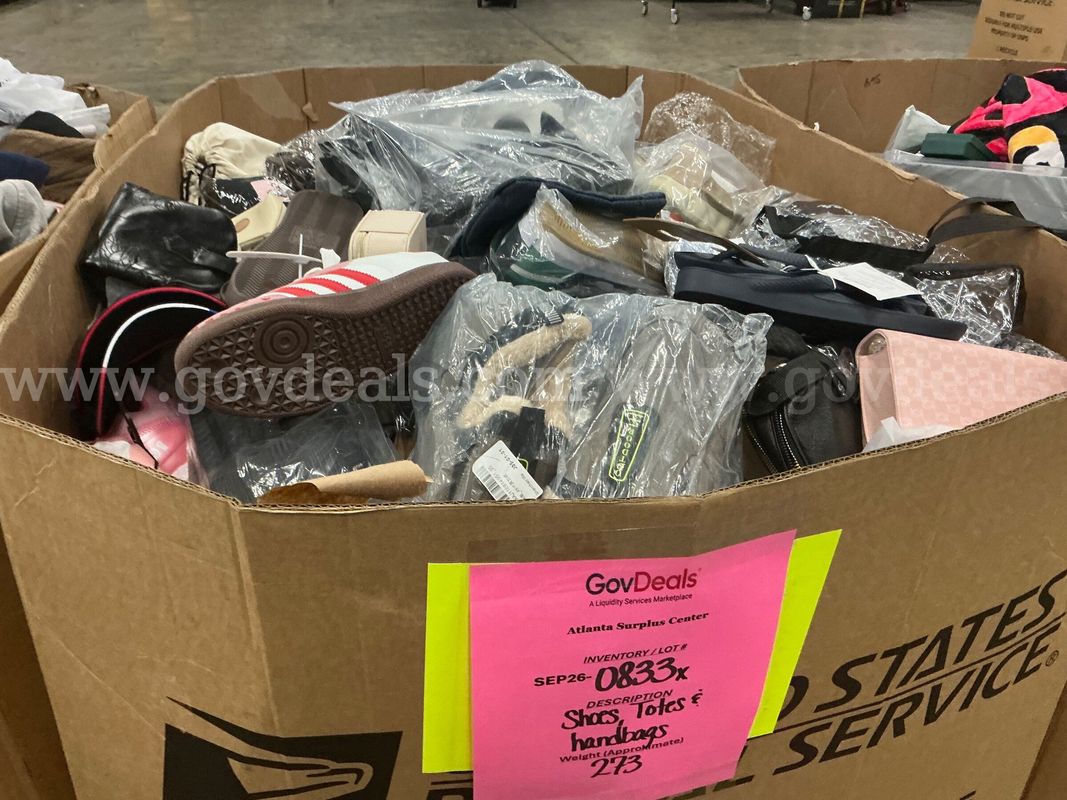 Apparel: Manually Sorted "Shoes, Handbags and Totes" (SEP26-0833X)
