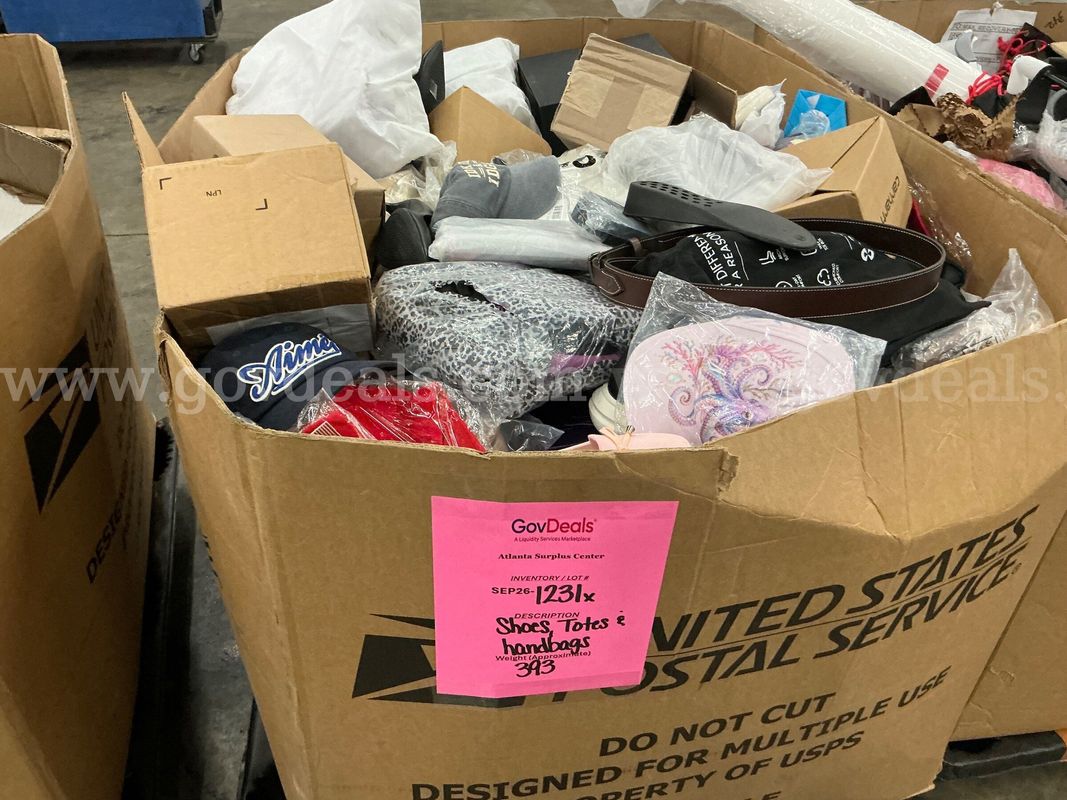 Apparel: Manually Sorted "Shoes, Handbags and Totes" (SEP26-1231X)