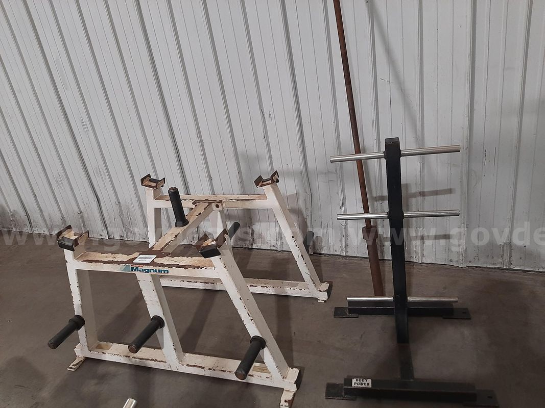 Weightplate Tree And Barbell