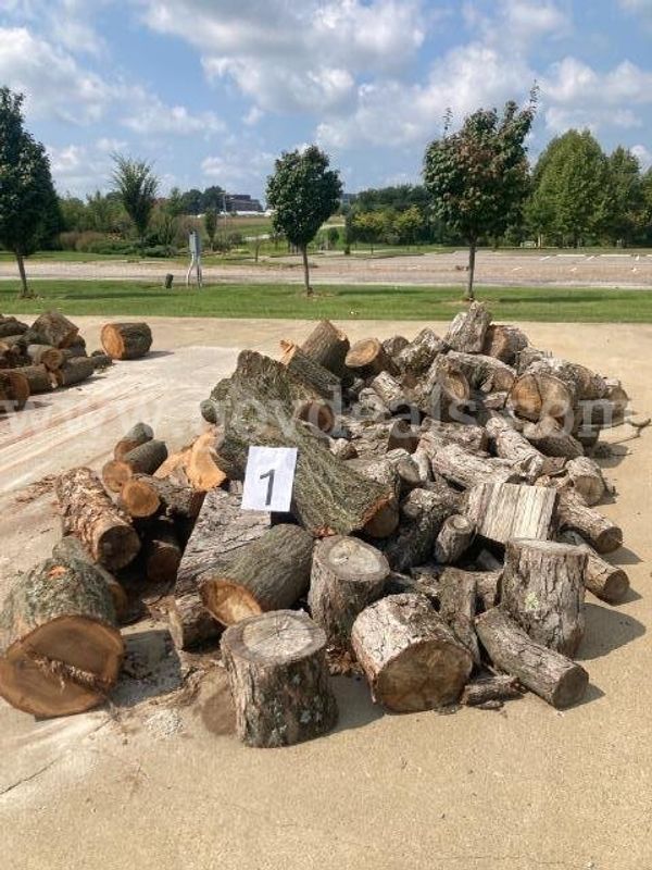 Lot #1 - Hardwood Firewood - Wooster Ohio