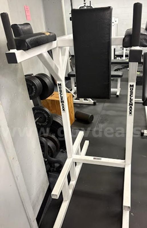 Lot 5 MuscleMaxx Vertical Knee Raise/Dip Station