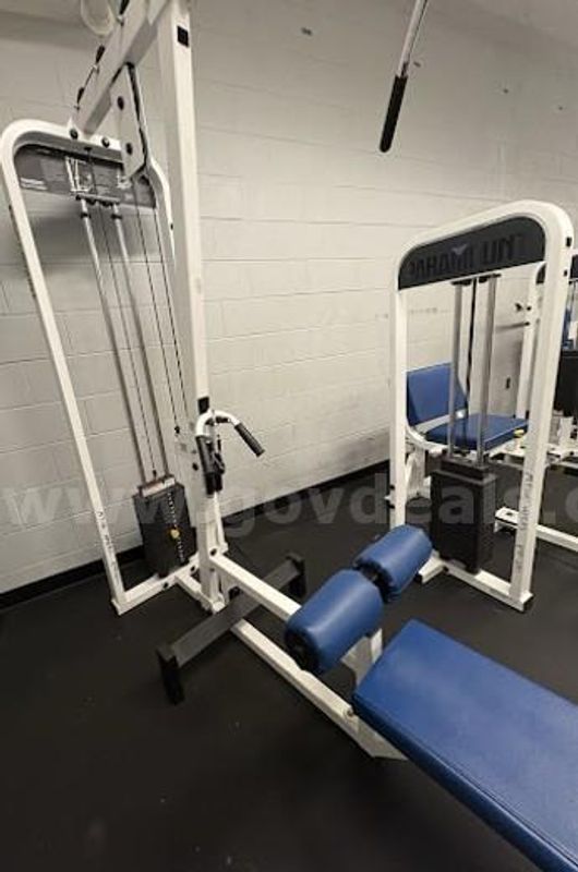 Lot 10 Paramount Lat Pulldown / Seated Row Combo