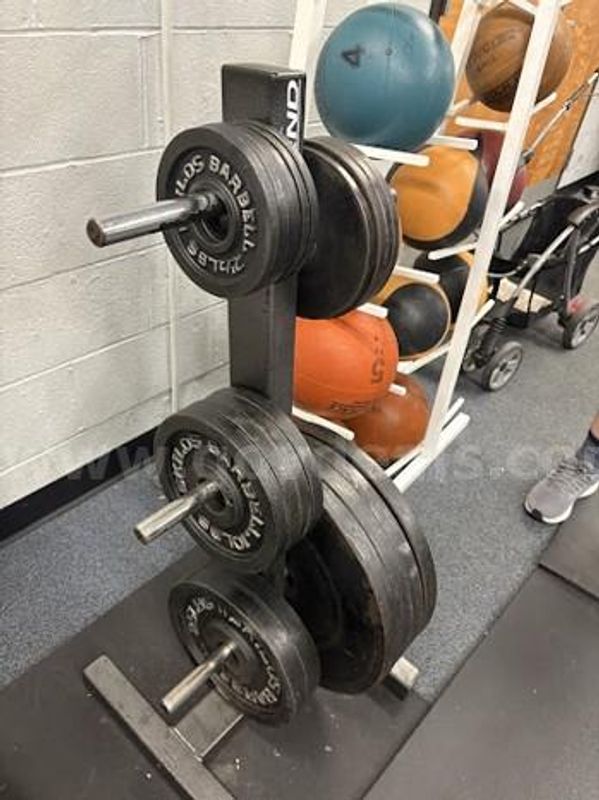 Lot 15 Legend Fitness Commercial 6-Peg Weight Trees (Quantity of 3)
