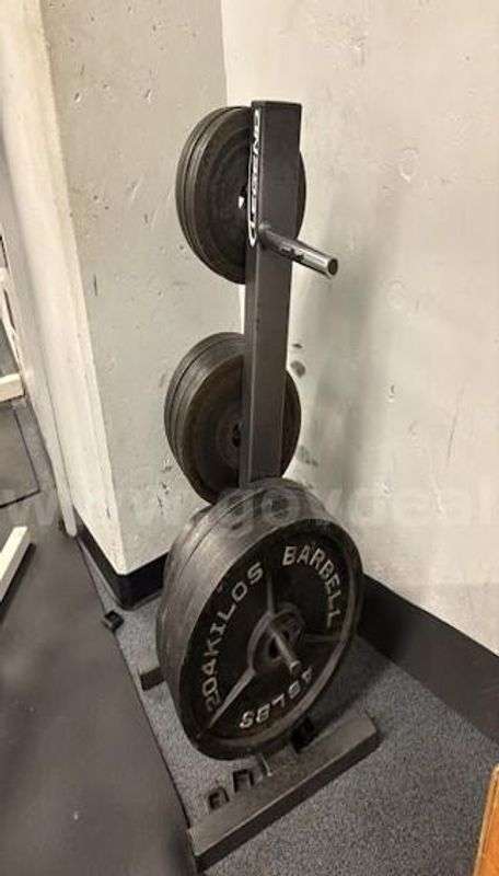 Lot 16 Barbell Standard Olympic Weights (790 lbs Total)