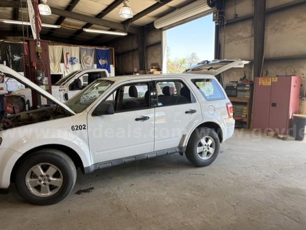 2010 Ford Escape
