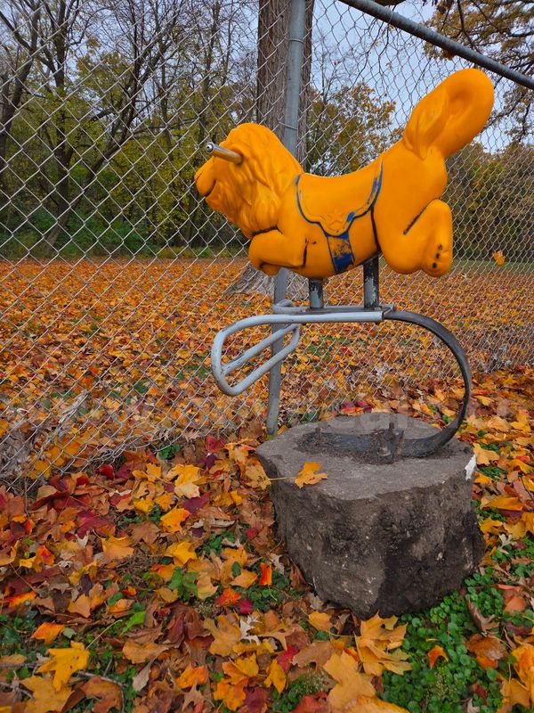 Lion playground spring rider - matching set
