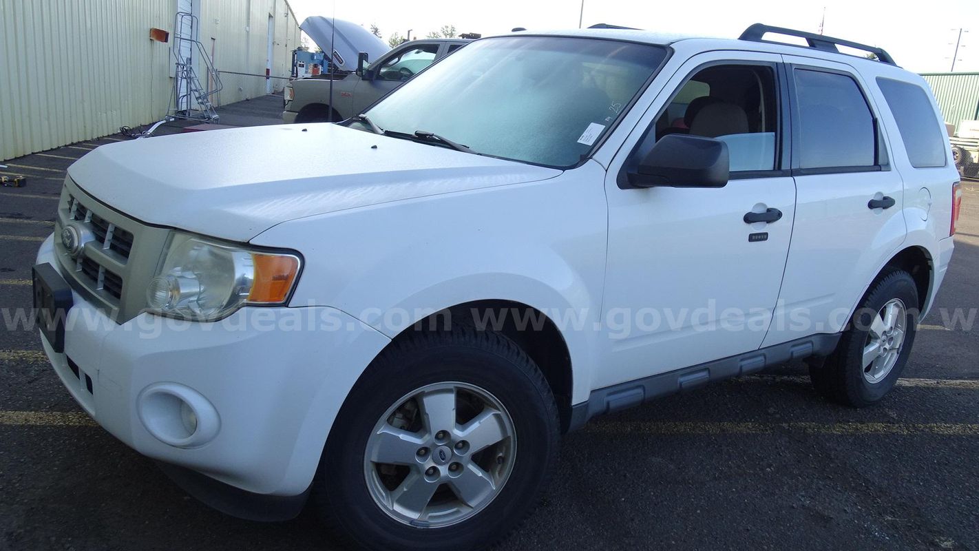 2011 Ford Escape XLT