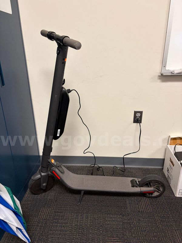 Electric Scooter