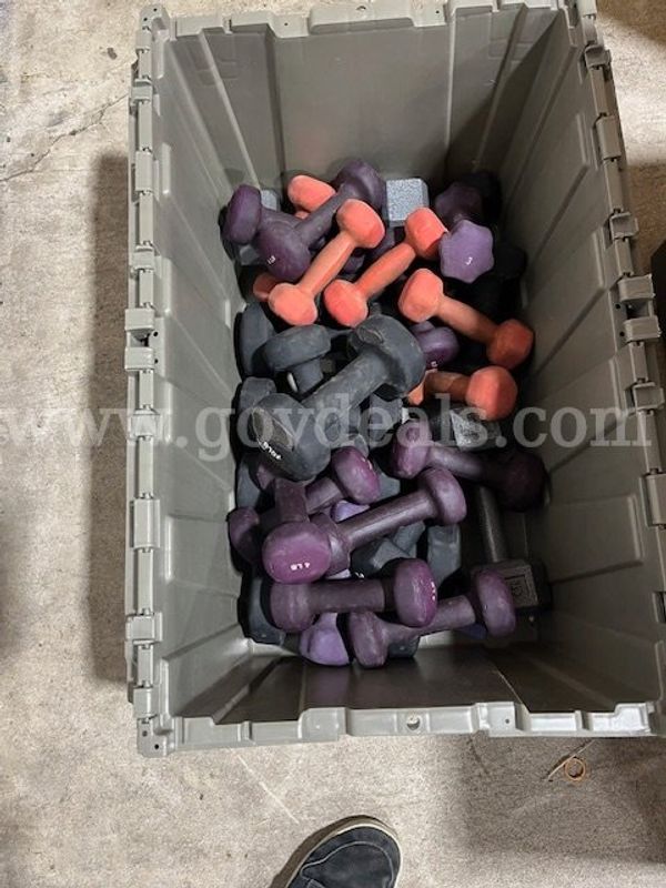 Assortment of Dumbbells with Rack