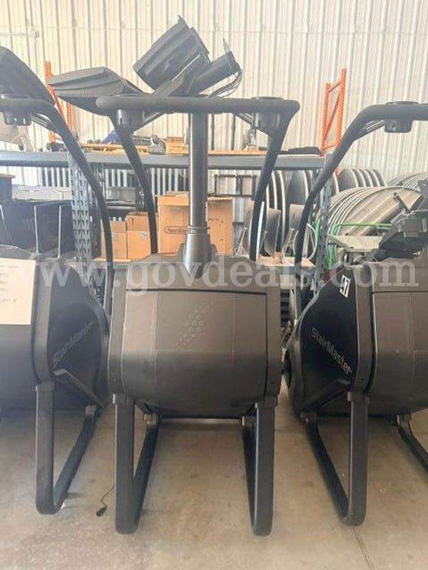 StairMaster FreeClimber Stepper