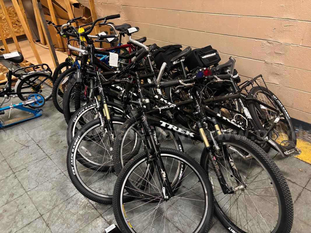 Lot of 15 bicycles, 1 Scooter