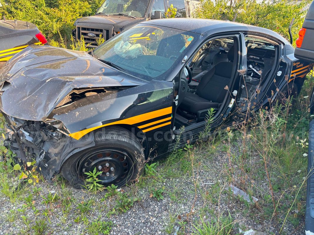 2021 Dodge Charger (Scrap)