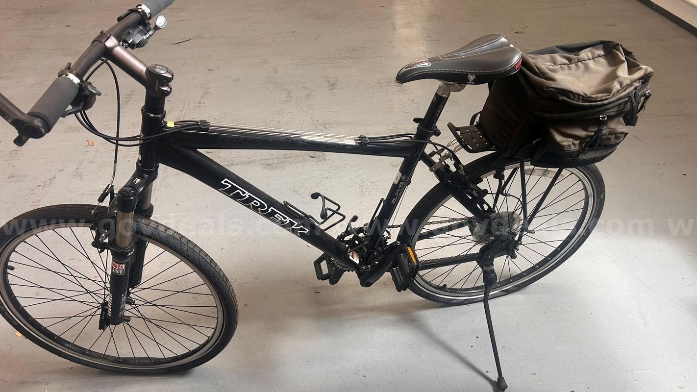 Adult Bicycle