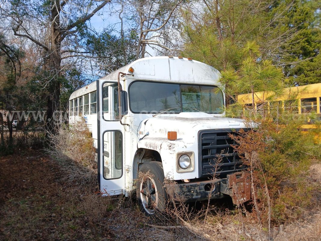 Lot of Junk/Scrap School Buses (19 Total)