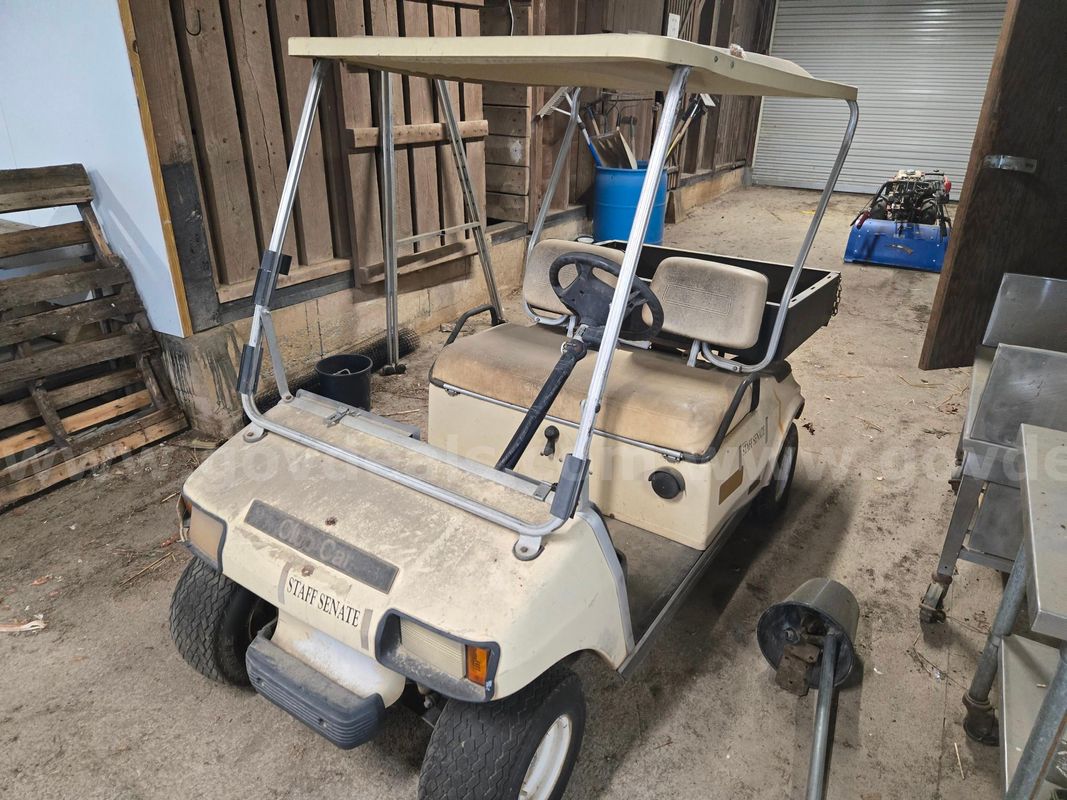 Club Car Golf Cart (Gas)