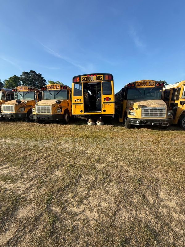 Lot of Junk/Scrap School Buses (31 Total)