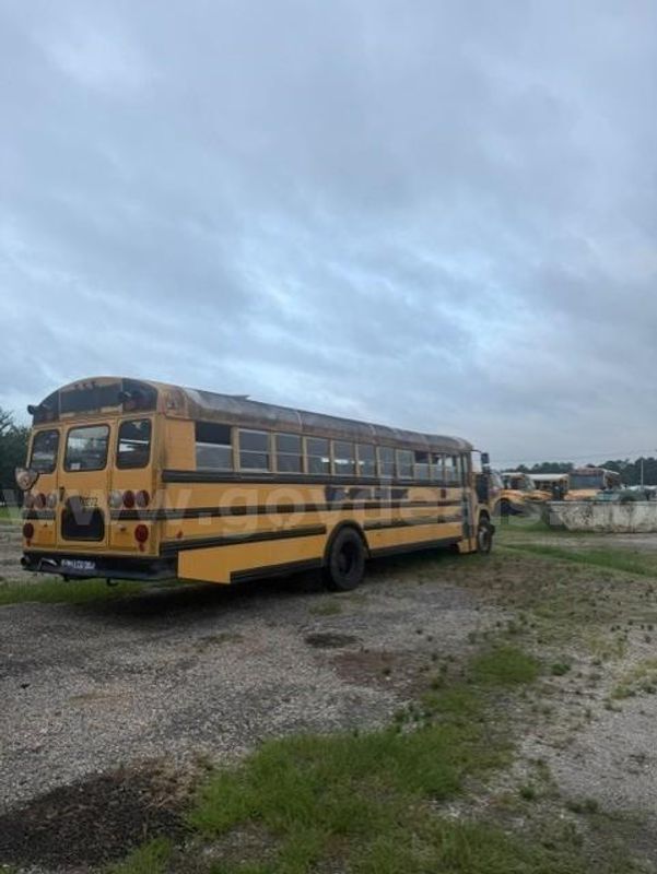 Lot of Junk/Scrap School Buses (5 Total)