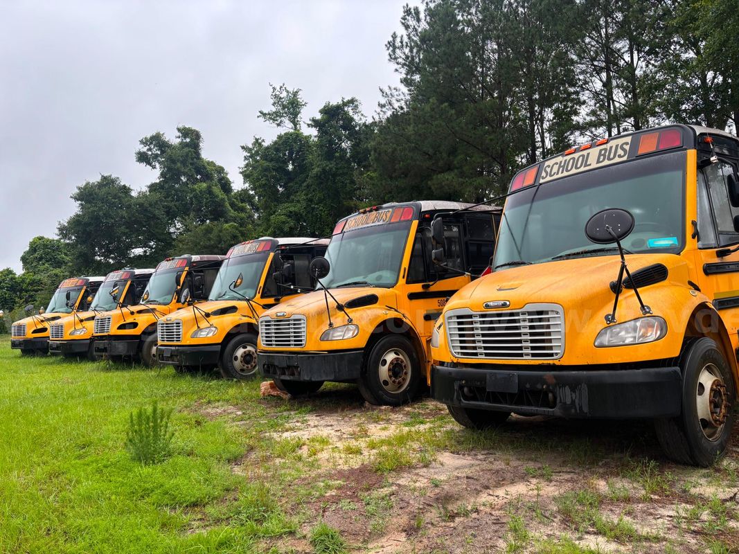 Lot of Junk/Scrap School Buses (7 Total)