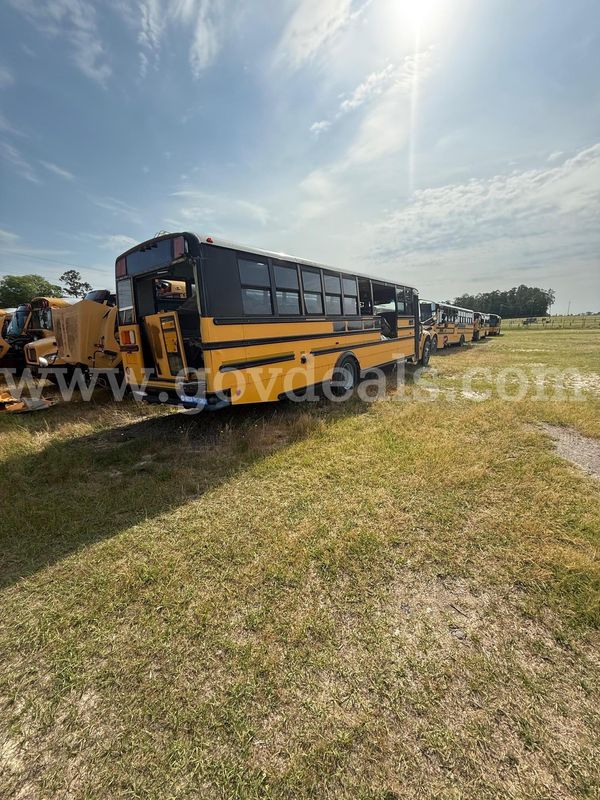 Lot of Junk/Scrap School Buses (62 Total)