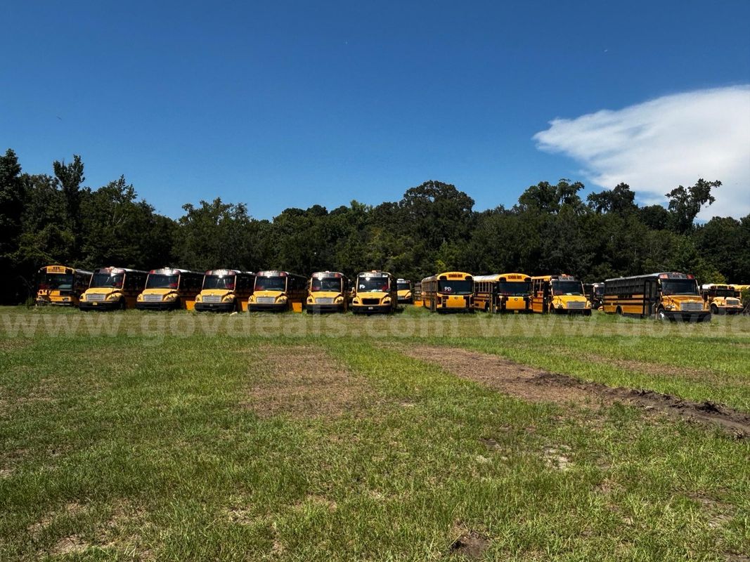Lot of Junk/Scrap School Buses (77 Total)