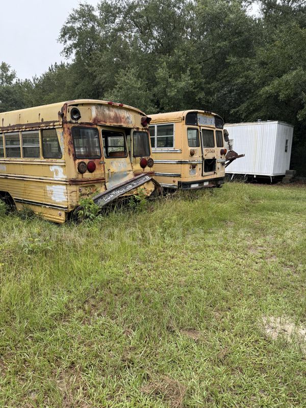 Lot of Junk/Scrap School Buses (12 Total)