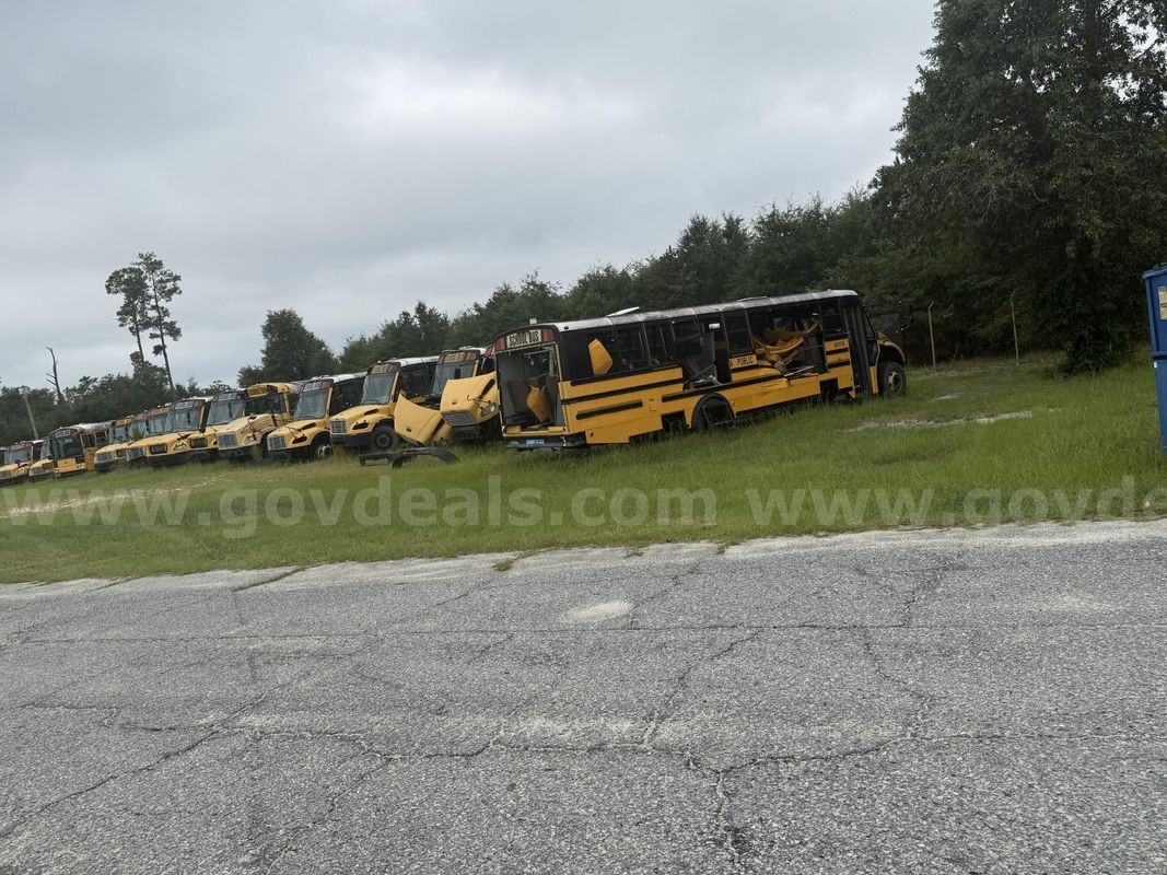 Lot of Junk/Scrap School Buses (49 Total)