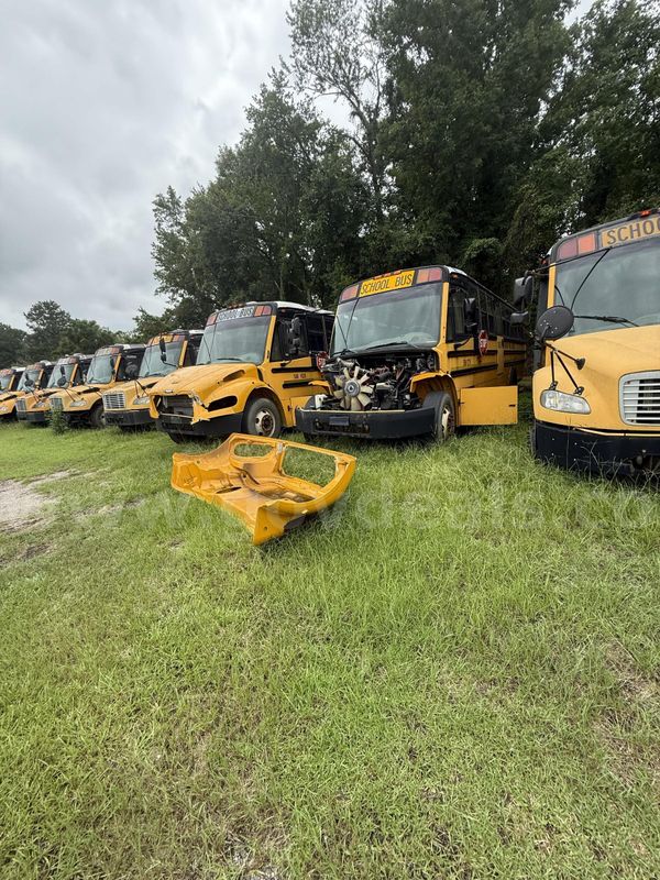 Lot of Junk/Scrap School Buses (46 Total)