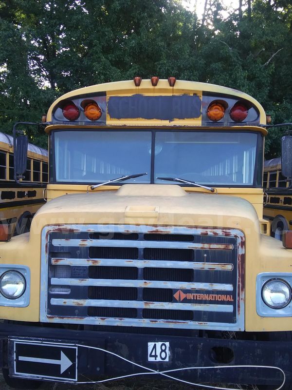 Lot of Junk/Scrap School Buses (17 Total)
