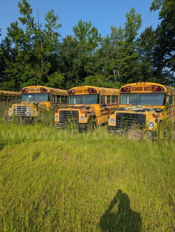 Lot of Junk/Scrap School Buses (79 Total)