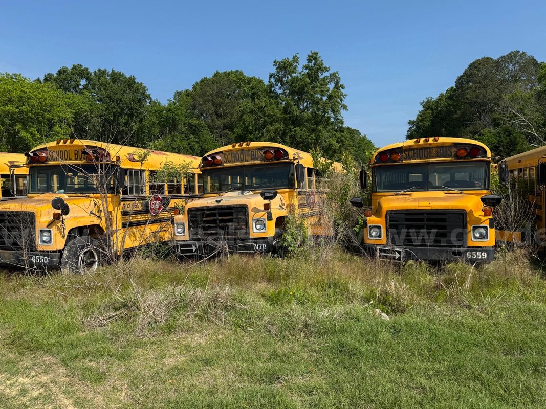 Lot of Junk/Scrap School Buses (43 Total)